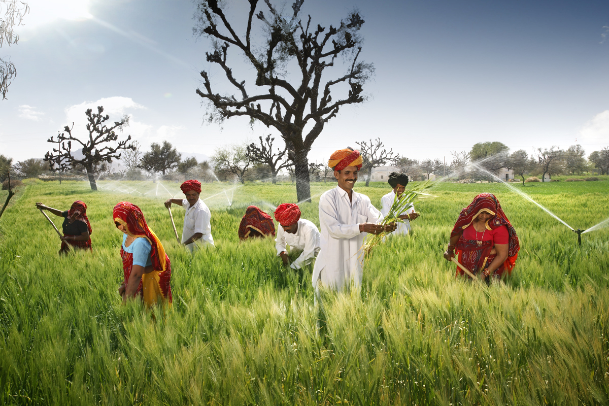 an indian farmer in marathi an indian farmer in marathi