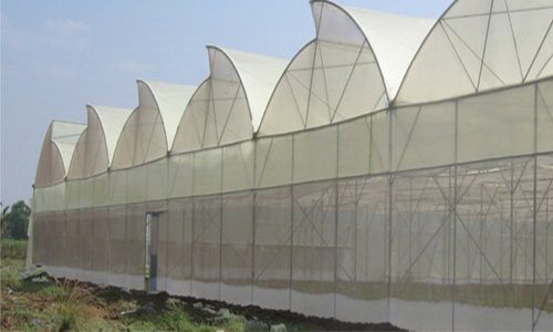 pasumai_Polyhouse-1.jpg