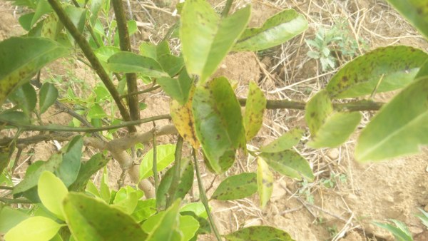 02_600x338.jpg