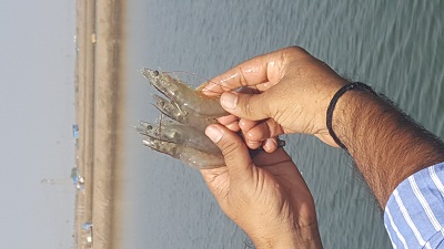 20161205_125513.jpg