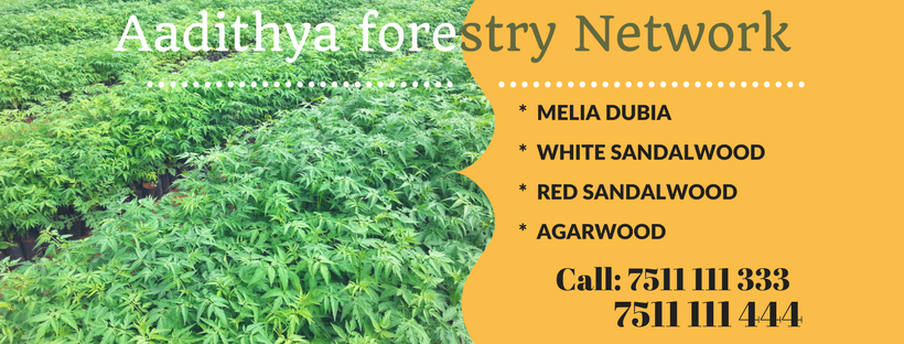 Aadithya forestry Network (2).png