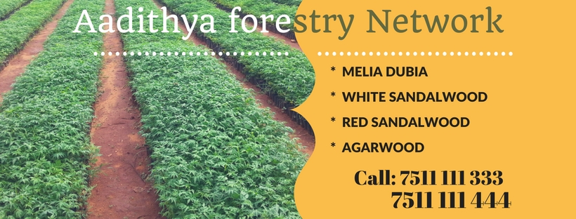 Aadithya forestry Network.jpg