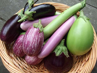 All-types-of-Brinjal.jpg