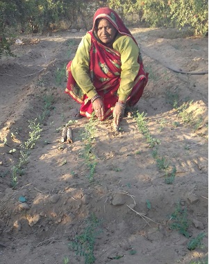 Bhagwati Devi Verma.jpg