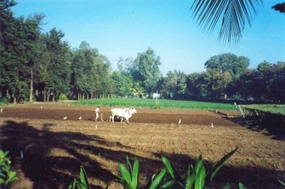 Bhaikaka Krishi Kendra 1a.jpg