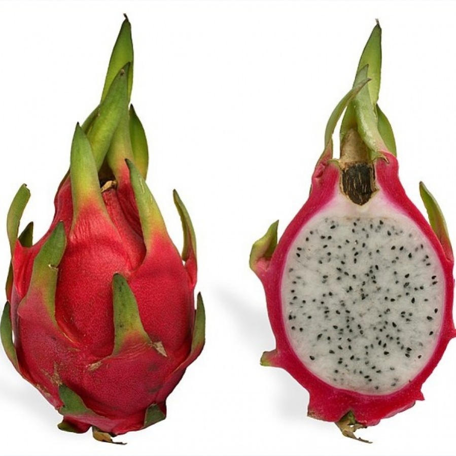 Dragon Fruit .jpg