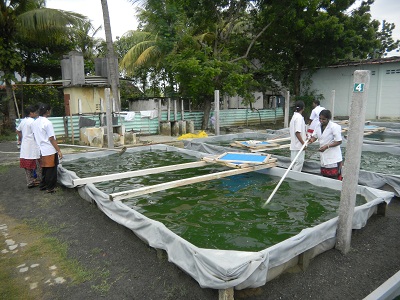 DSCN6740.jpg