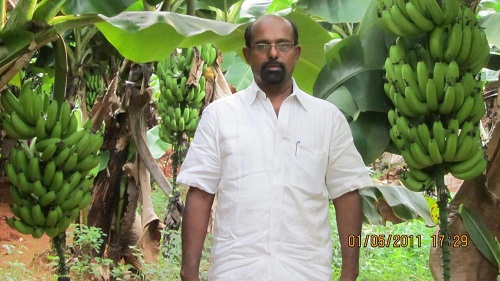 GRP farms G Ranga Prabu 1a.jpg