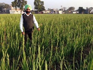 Gurvinder Singh Sohi 01.jpg