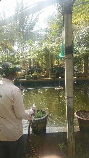 Hemanna Barangi 2 (1).jpg