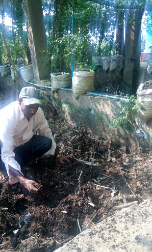 Hemanna Barangi 3 (1).jpg