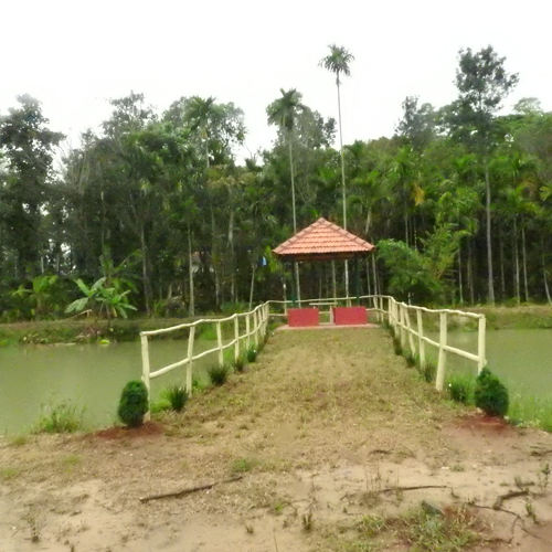 image7.jpg