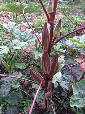 image7.jpg