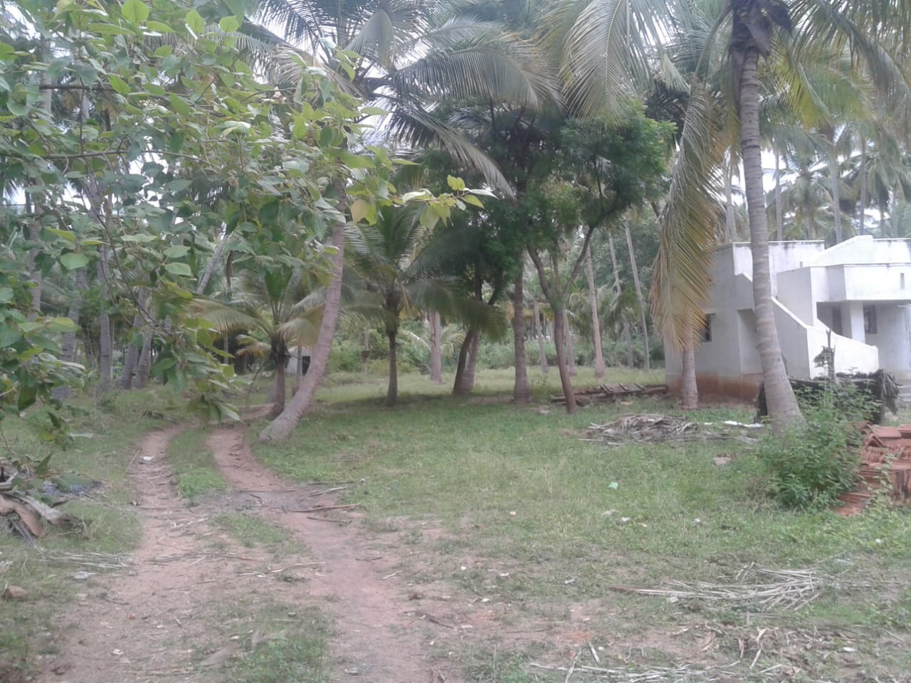 IMG-20181013-WA0029.jpg