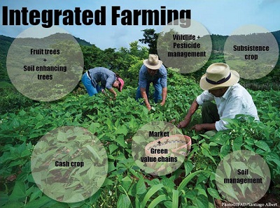 Integrated farming-en.jpg