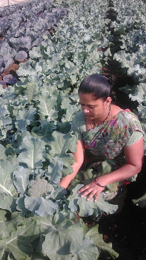Jadhav Farms 02.jpg