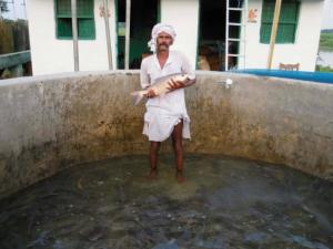 Kailash-Fish-Hatchery-300x225.jpg