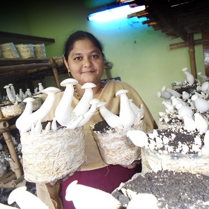 Lakshmi Mushrooms 2a.jpg