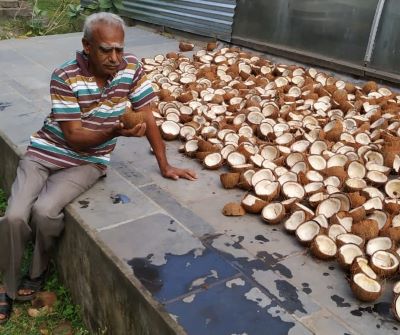 madhu-pic-1-.jpg