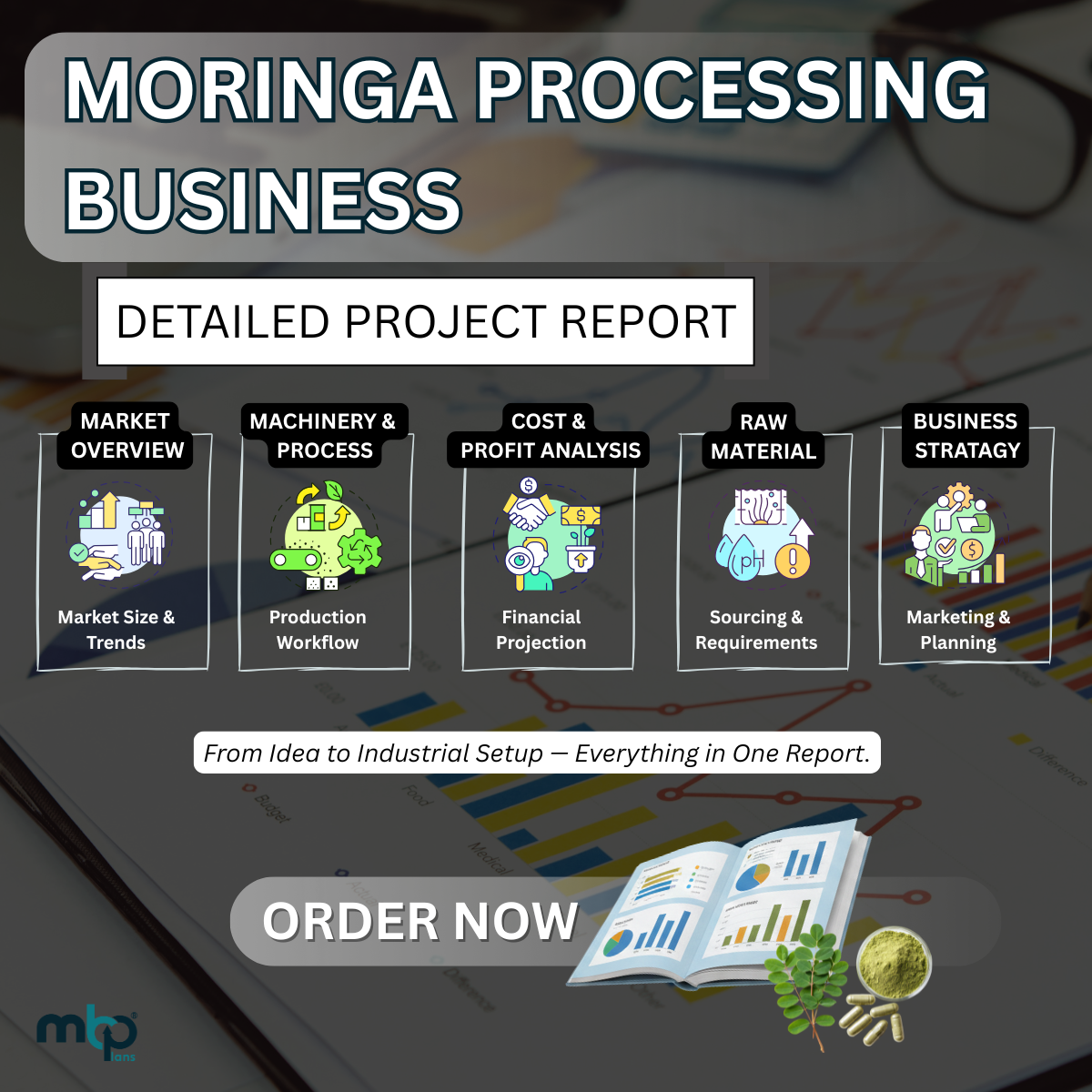MORINGA PROCESSING BUSINESS.png