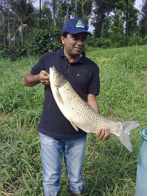 Mr. Hoysala 5.jpg