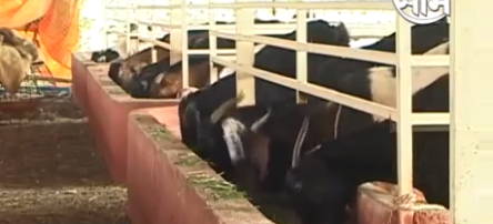 Mr Subhash Rohidas Mayekar 2.png