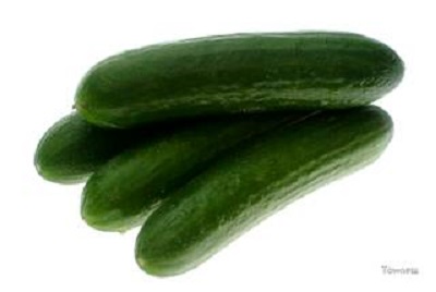 Mr. Venkat Reddy 1a.jpg