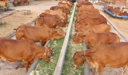 namdhar-pc-3.jpg