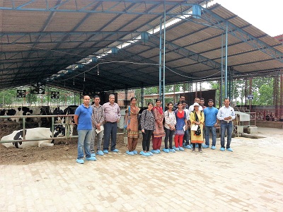 Nikki Choudhary 3.jpg