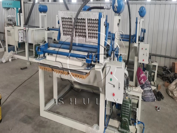 quail egg tray production line.jpg