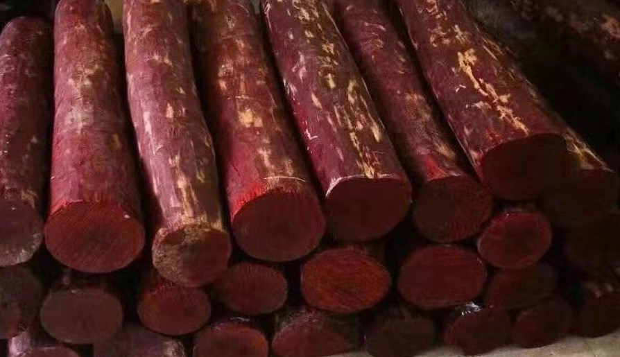 Red sanders 1.jpg
