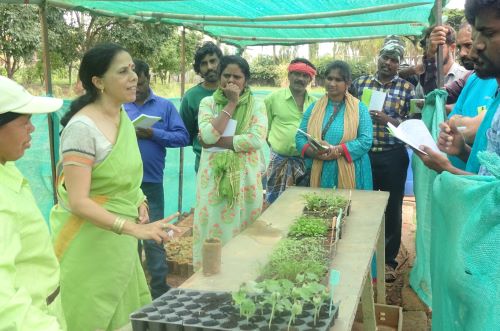 sangeeta-pic-3-jpg.png-1.jpg