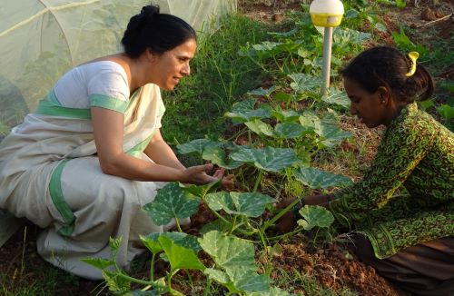 sangeeta-pic-4-jpg.png.jpg