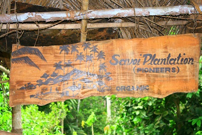 SAVOI-PLANTATION-1a.jpg