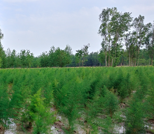 Screen Shot 2018-04-15 at 2.51.46 PM.png