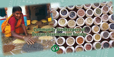 Seed Poster  Side Panel 2__14w x 7h.jpg