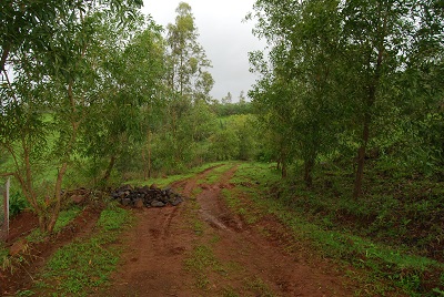 Serene Eco Village 3 a.jpg