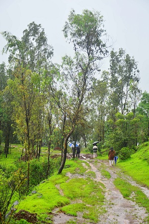 Serene Eco Village 4 a.jpg