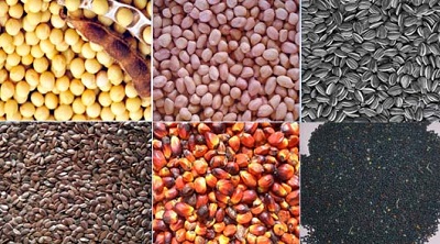 Sharana Muddanna Savayava Krushigalabalaga a.jpg