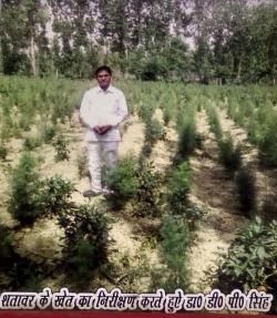 singh- pic 1 .jpg