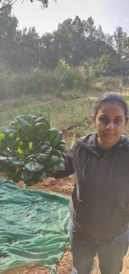 Sumeet showing Tatsoi.jpg
