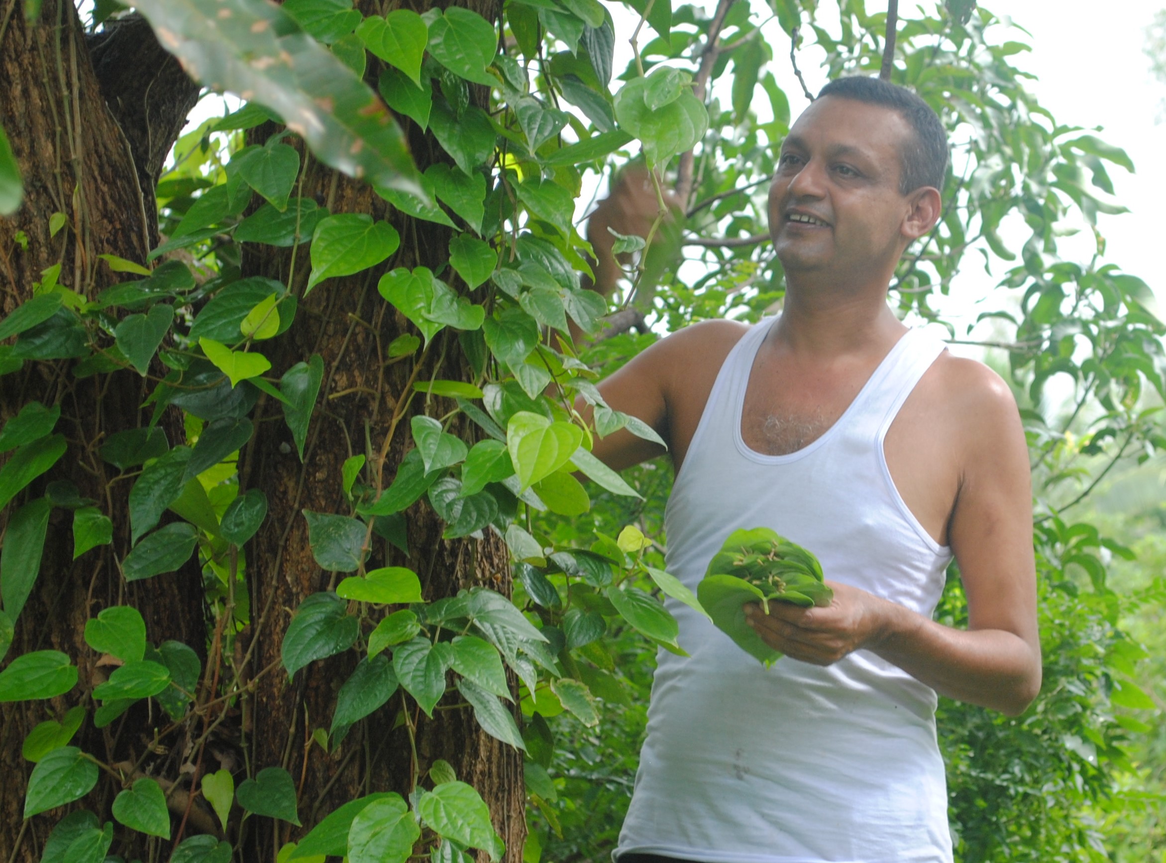 venkat-iyer-PIC-1.jpg