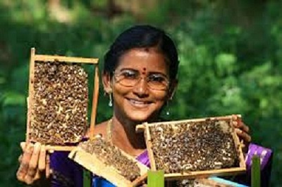 Vibis Natural Bee Farm - Ms. Josephine Selvaraj - 1.jpg