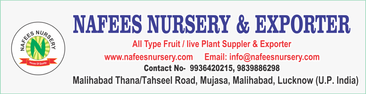 WhatsApp Image 2019-08-29 at 4.13.43 PM (4).jpeg