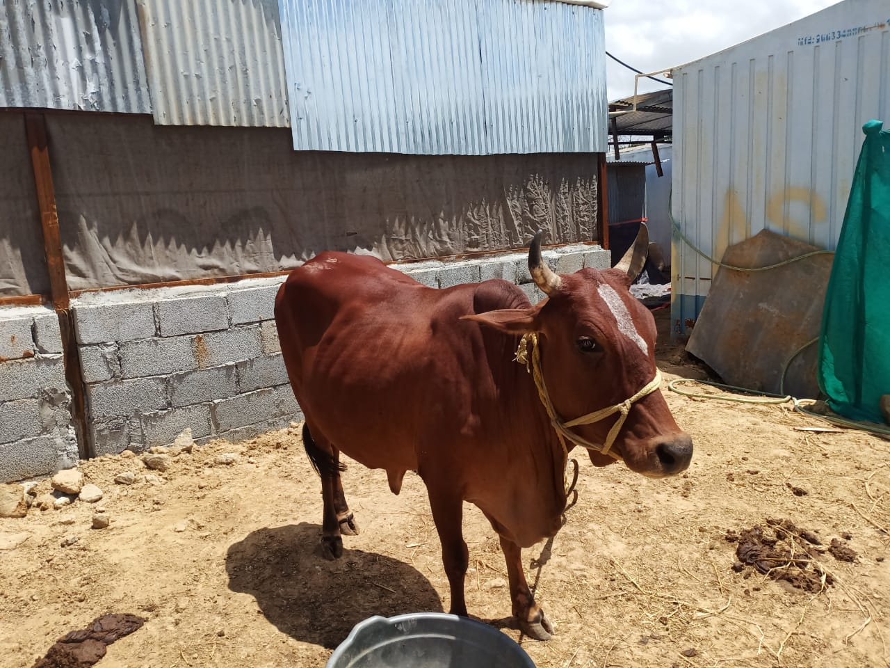 WhatsApp Image 2020-09-23 at 12.52.41.jpeg