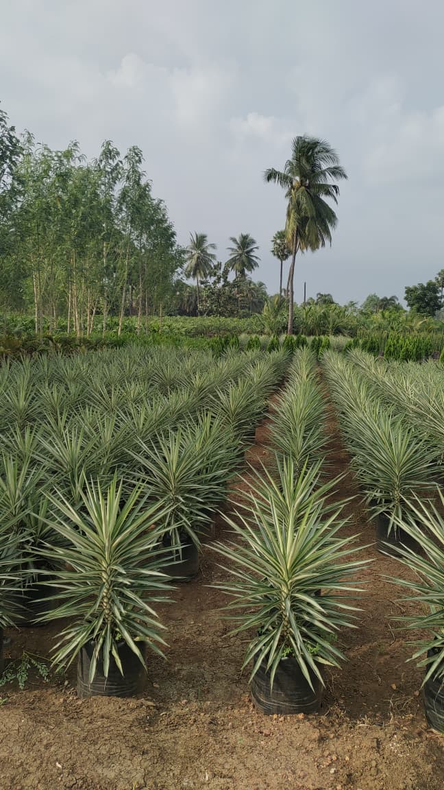 WhatsApp Image 2026-04-24 at 6.26.32 PM.jpeg