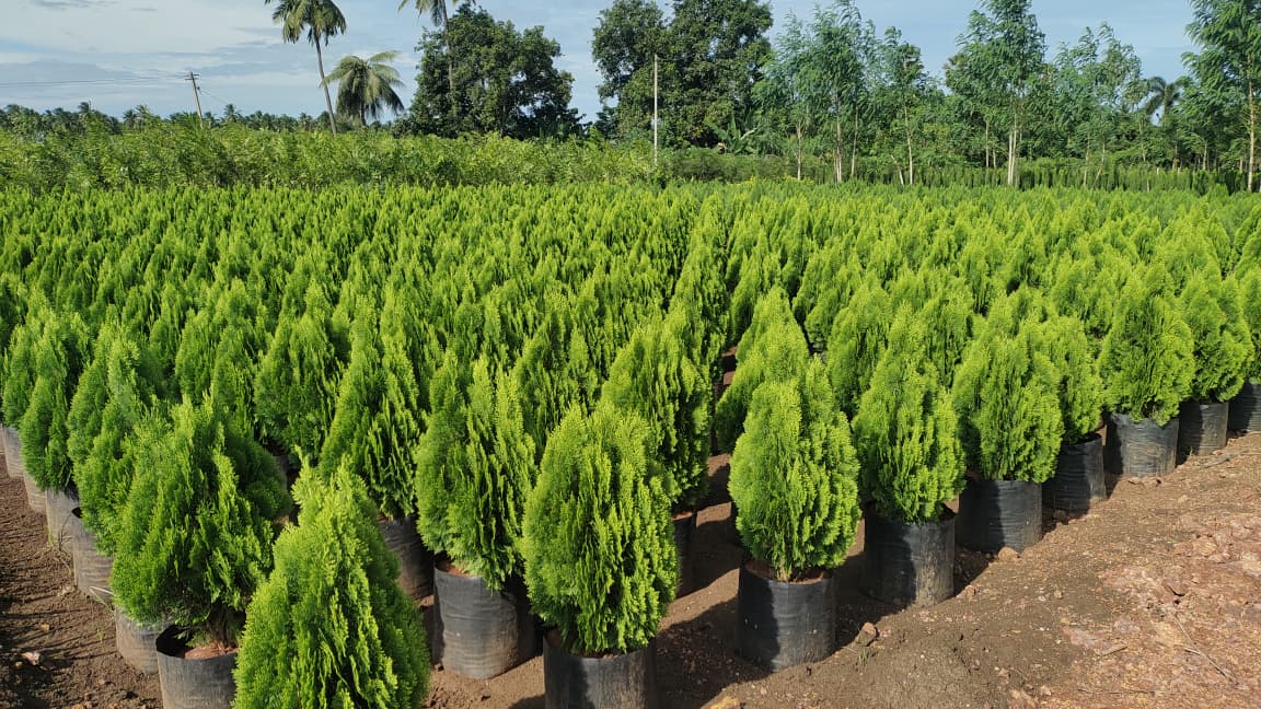 WhatsApp Image 2026-04-24 at 6.26.33 PM.jpeg