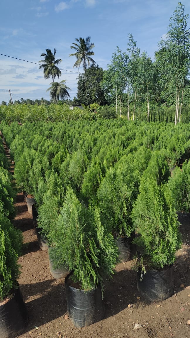 WhatsApp Image 2026-04-24 at 6.26.42 PM.jpeg