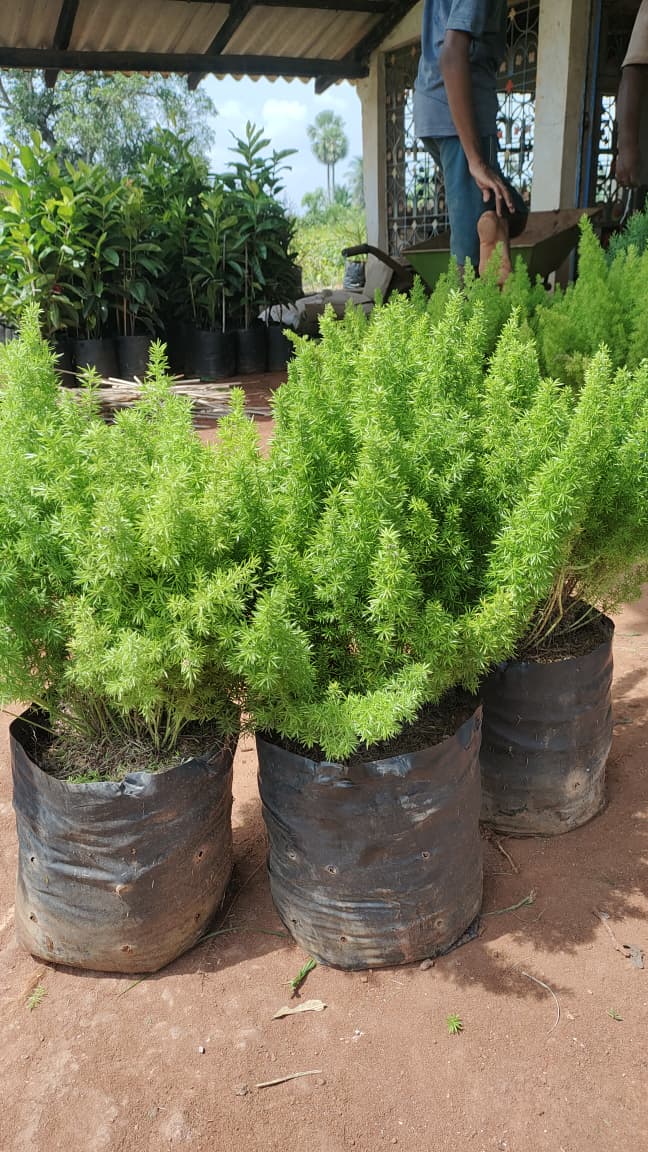 WhatsApp Image 2026-04-24 at 6.26.43 PM.jpeg