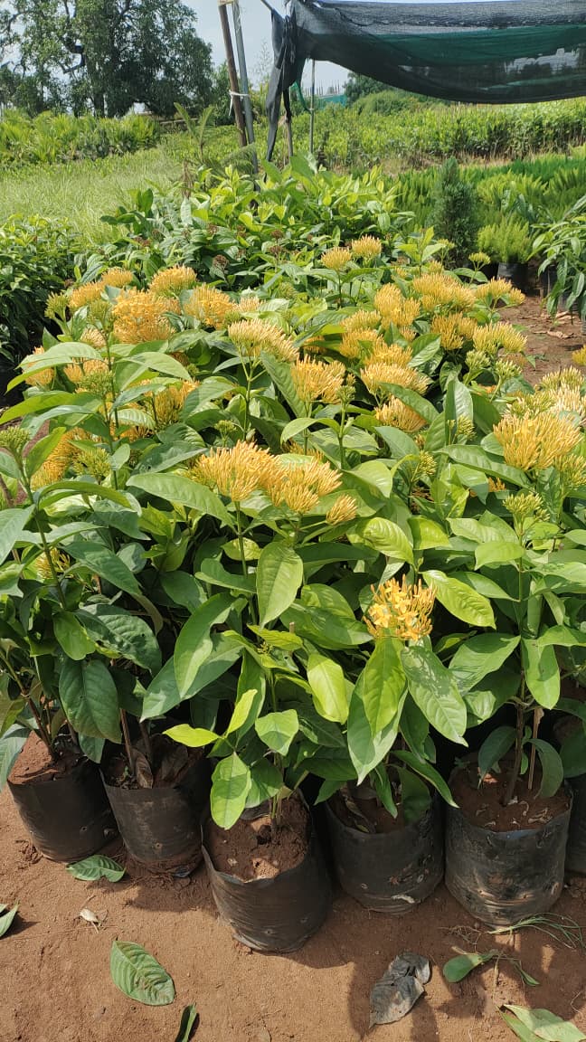 WhatsApp Image 2026-04-24 at 6.26.50 PM.jpeg